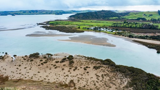 Hapū-led partnership launched to protect globally significant ecosystems and endangered species of the Kaipara preview image