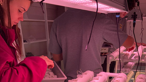 Waiuku College preview image