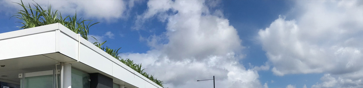 <p>Adapting Auckland’s Transport System</p> image