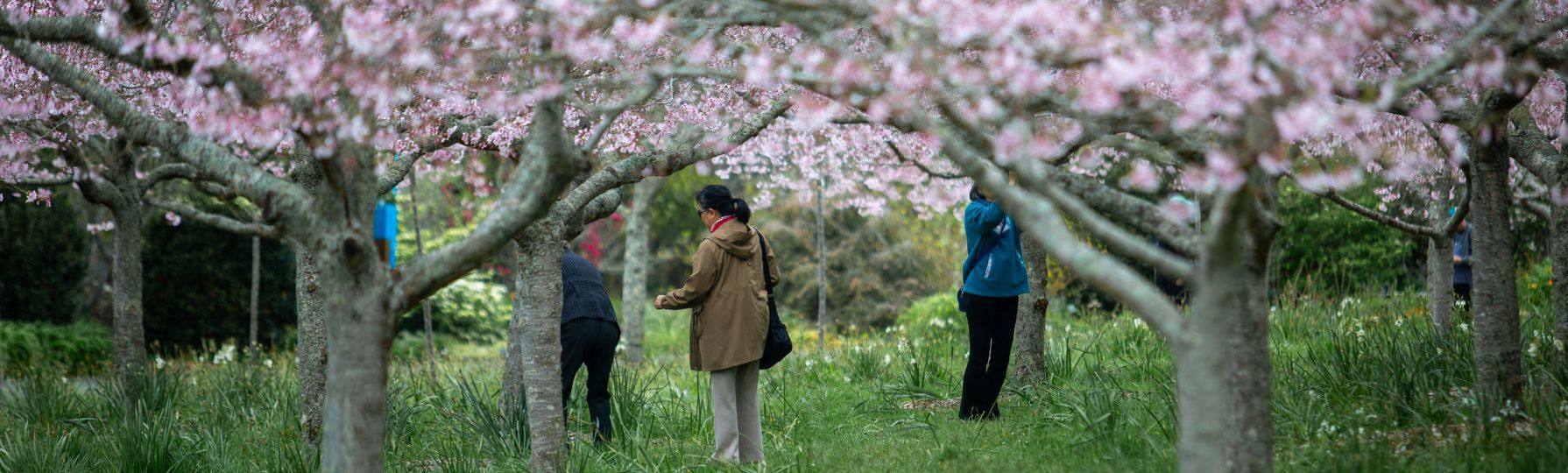 Signs Of Spring Hero Feature Article 01