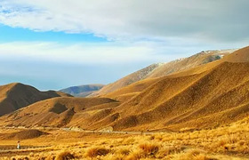 Global Citizenship NZ Ltd image