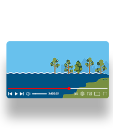 About coastal inundation preview image