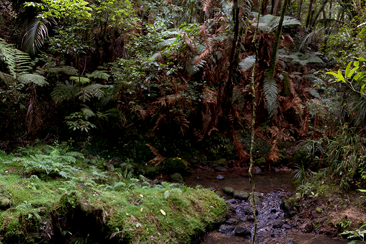 Climate plans & policies preview image