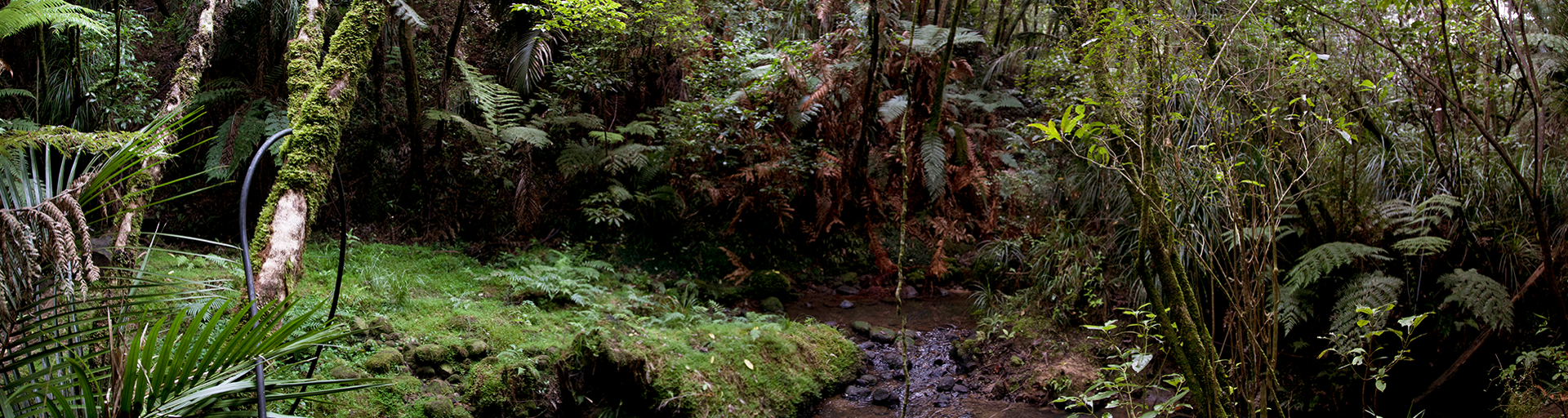 Climate Plans & Policies