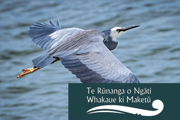 Maketu Climate Change Adaptation Plan  preview image