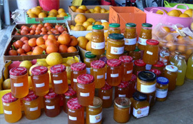 Community Fruit Harvesting image