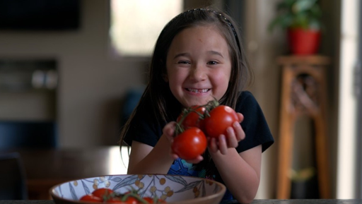 Turbo-charging tomatoes with Auckland’s food scraps preview image