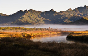 Great Barrier Environmental Trust image