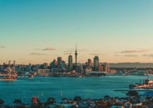 Tāmaki Makaurau Community Climate Action Network preview image