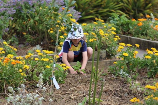 Eco-neighborhoods of Albert-Eden show the way