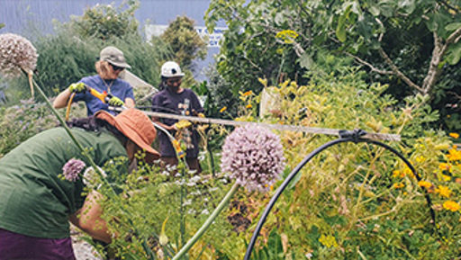 Winter organic gardening sessions