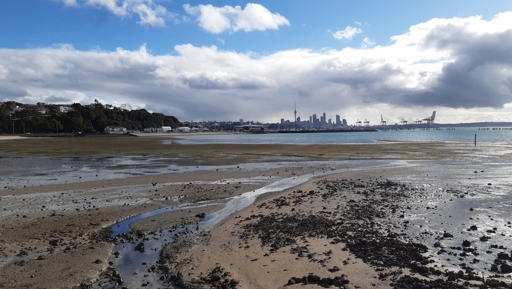 State of the Environment Report: Auckland is improving in part but big challenges lie ahead preview image