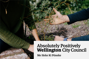 Wellington City Council Climate Action Hub preview image