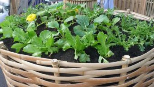 Woven Garden Structures Workshop