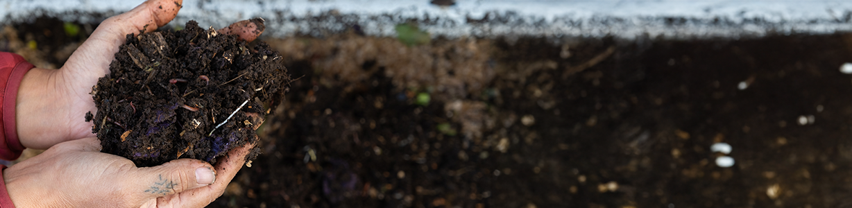 <h3>Compost food and garden waste</h3> image