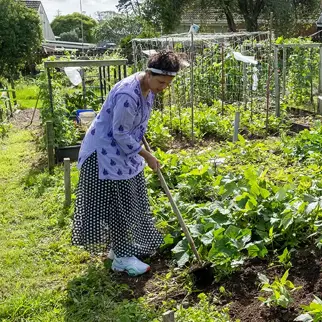 Community gardens & resilient kai navigation image
