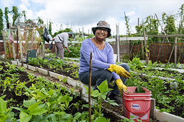 In the garden preview image