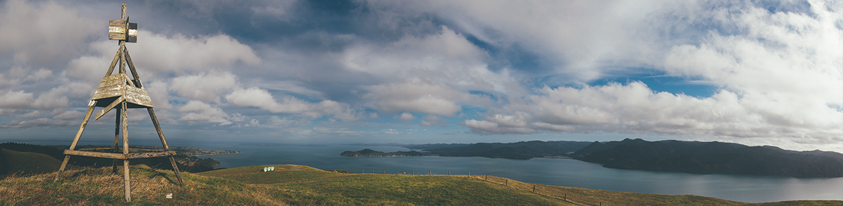 <h3>Learn more about “adaptation options”</h3> image