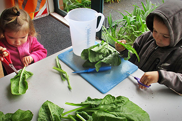 Pakuranga Baptist Kindergarten preview image