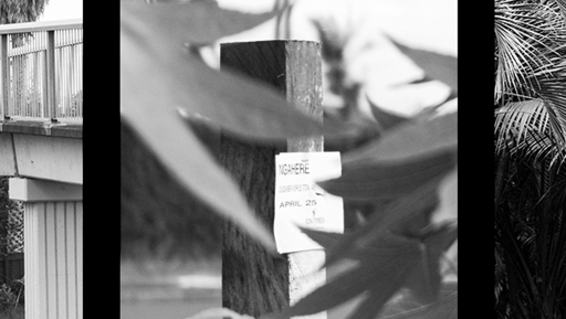 Our Urban Ngāhere preview image