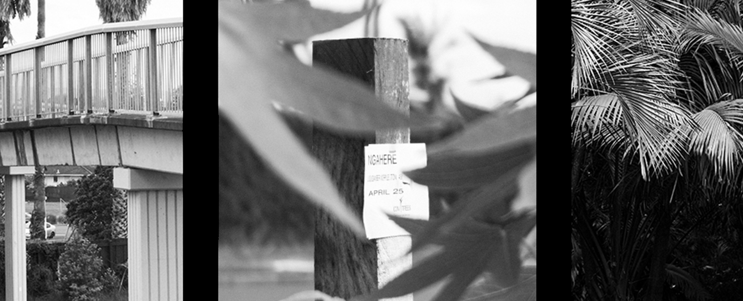 Our Urban Ngāhere image