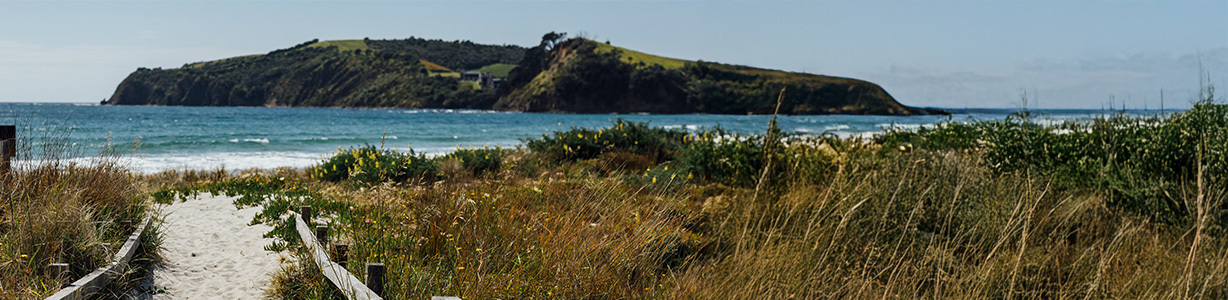 <h3>Check your local Shoreline Adaptation Plan</h3> image