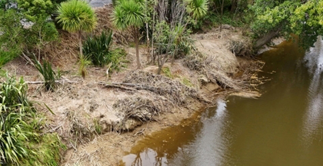 Puhoi Riverside Planting Day image