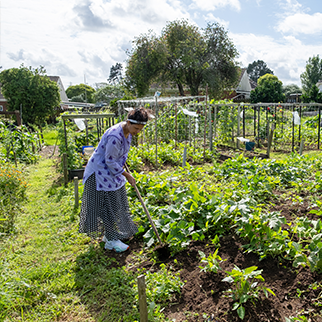 Community gardens & resilient kai navigation image