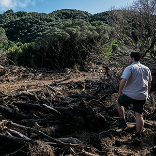 Floods, landslides & wind navigation image