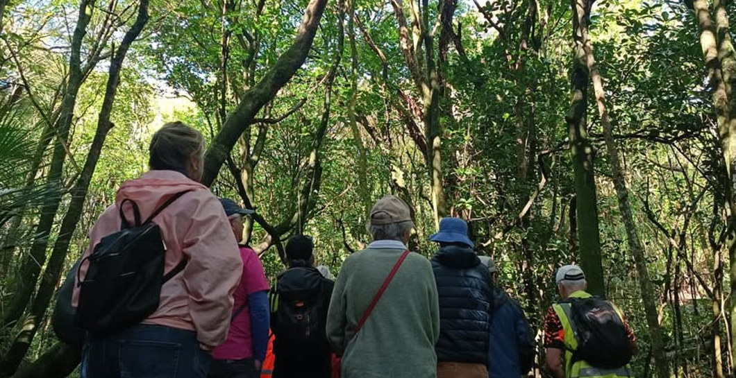 Ranger Guided Walk image