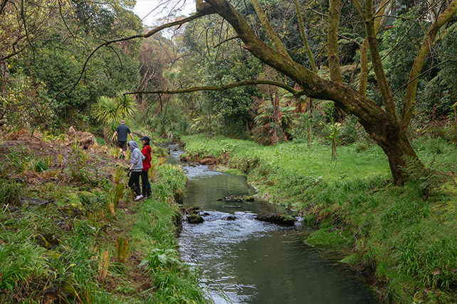 Natural landscape, Body of water, Riparian zone