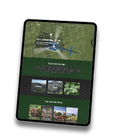 NZ Māori Tourism preview image