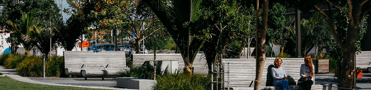 <p>Urban Ngāhere</p> image