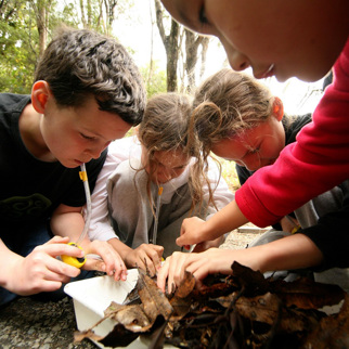 Experience school programmes navigation image