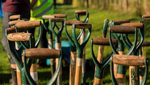 Community Planting Day