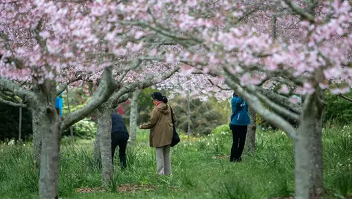 Signs of spring preview image