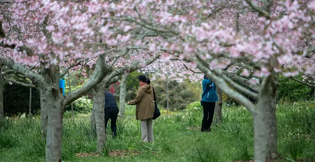Signs of spring image