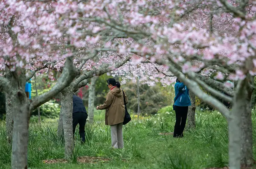 Signs of spring preview image