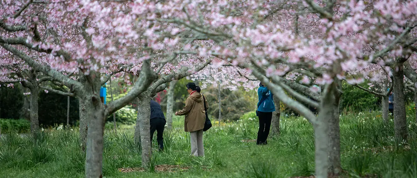 Signs of spring image