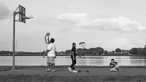 Our Urban Ngāhere preview image