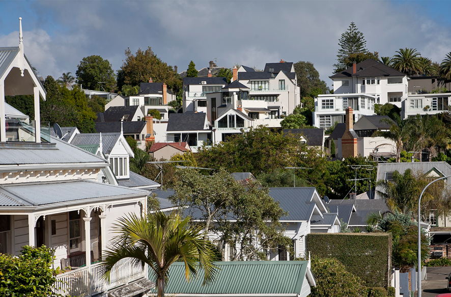 Renting in Tāmaki Makaurau preview image