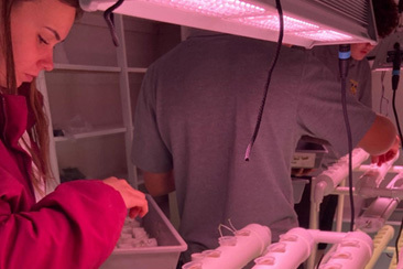 Waiuku College preview image