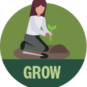 Plant a fruit tree thumbnail