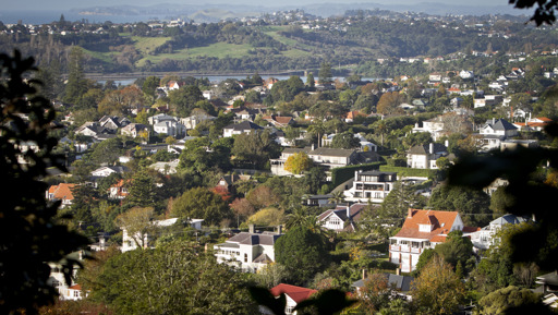 Future use of storm-affected land preview image