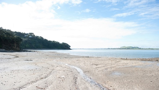 Beginning the conversation today for our beaches of tomorrow preview image