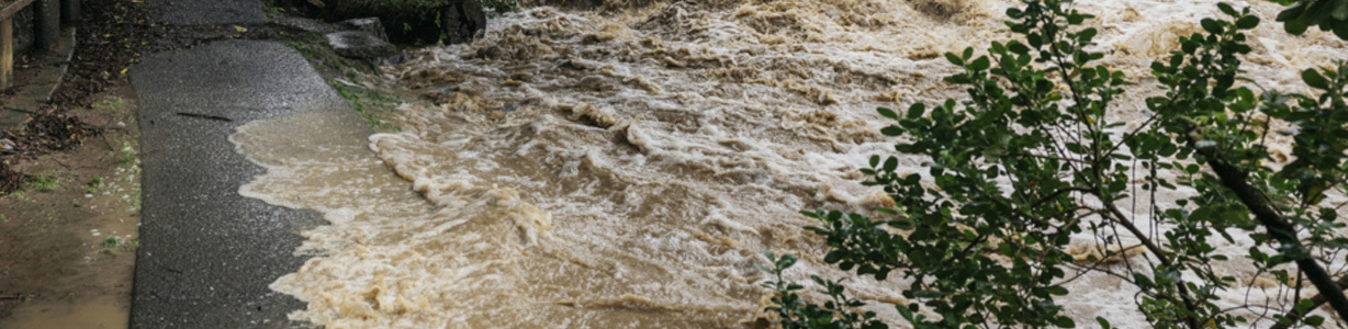 <h3>Check Auckland Flood Viewer first!</h3> image