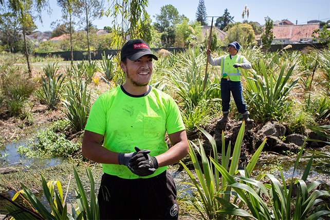 Planting volunteers at Wesley Park