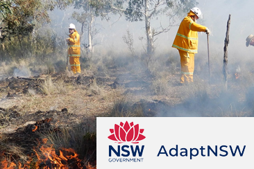 AdaptNSW, Australia preview image