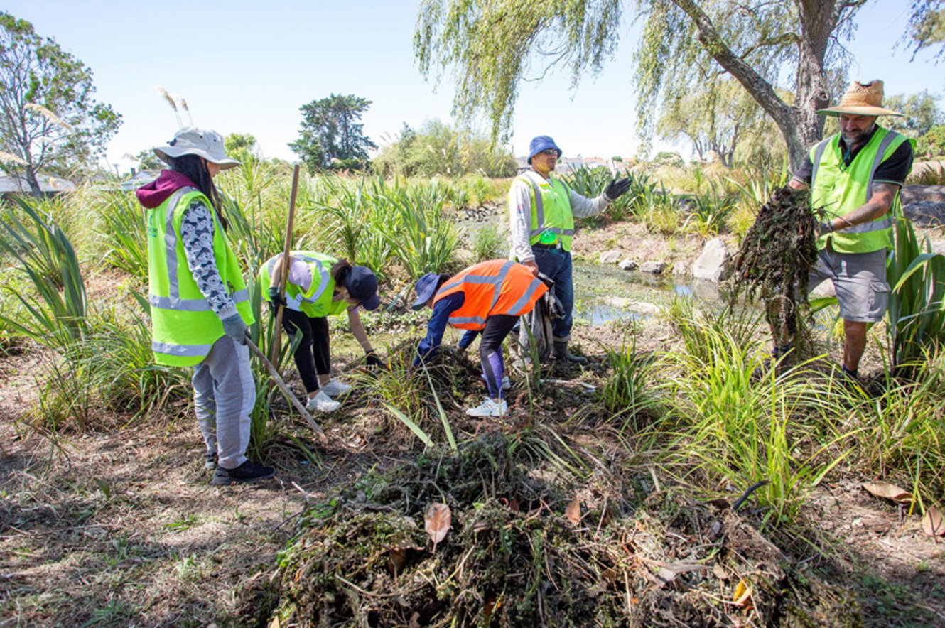 Creating a climate-ready community in Puketāpapa image