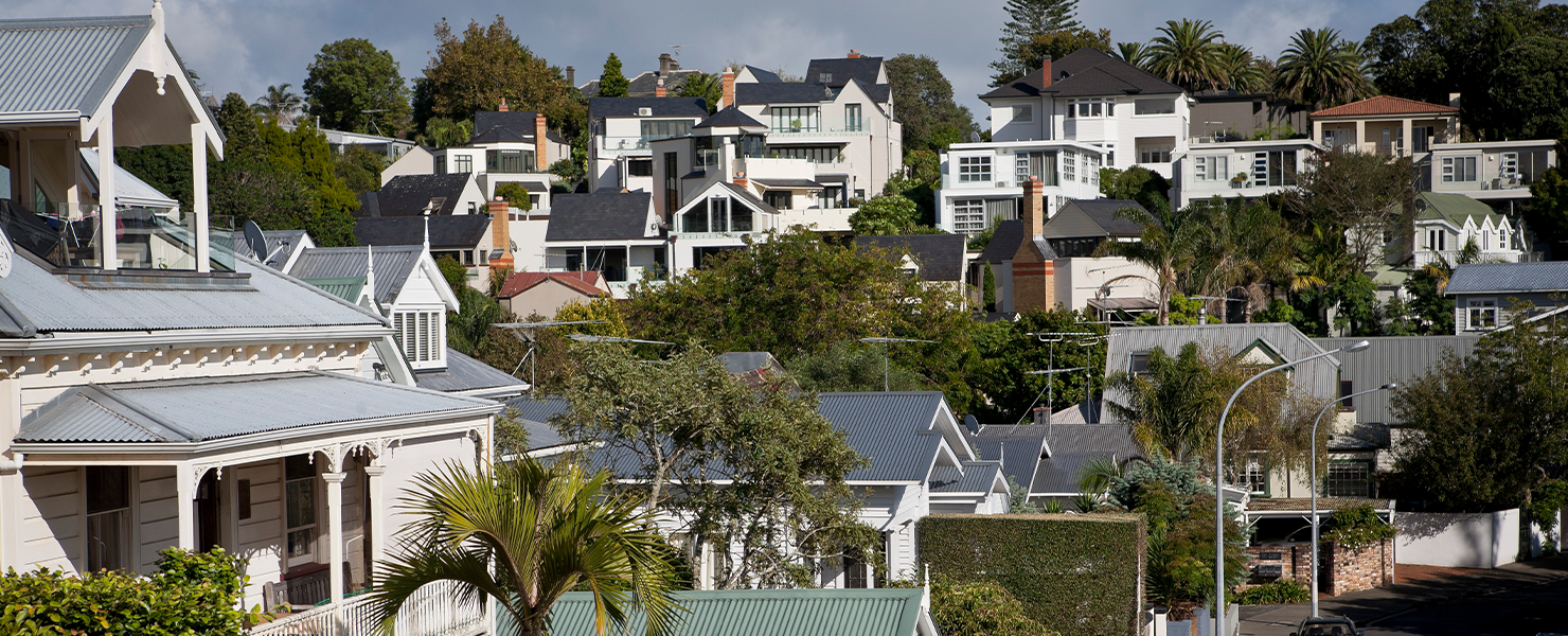 Renting in Tāmaki Makaurau image